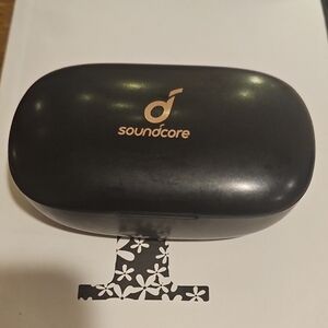 Soundcore Black Wireless Earbuds Case